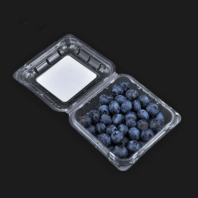 125G CONTRUZIONE DI FRUMAGGIO CONTROLLO DI BILLA CLAMBRIALE TRASPARENTE GLI 125G