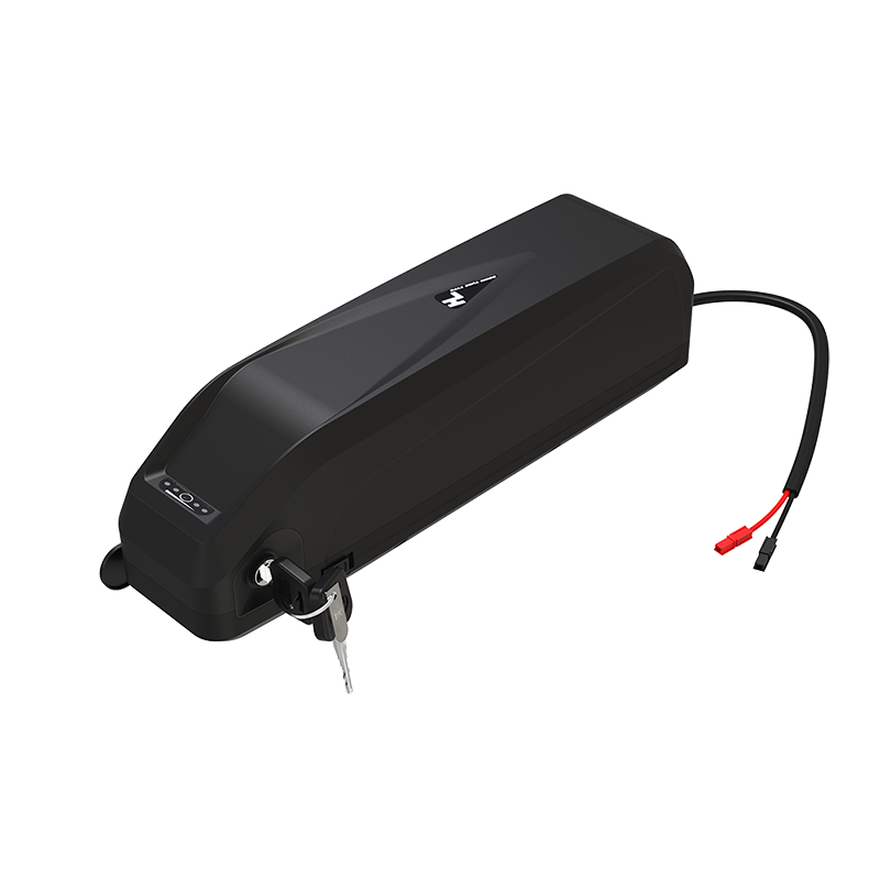 Batteria per bici elettrica 52V 48V 36V ione di litio per biciclette elettriche