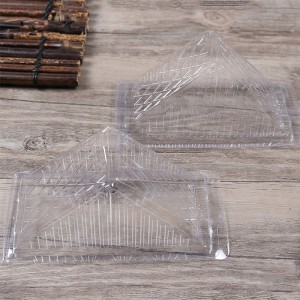 Clear Triangle Box Packaging in plastica all\'ingrosso Etichetta personalizzata Bellissimo sandwich e torta \\\\ \'s logo animale domestico, PLA