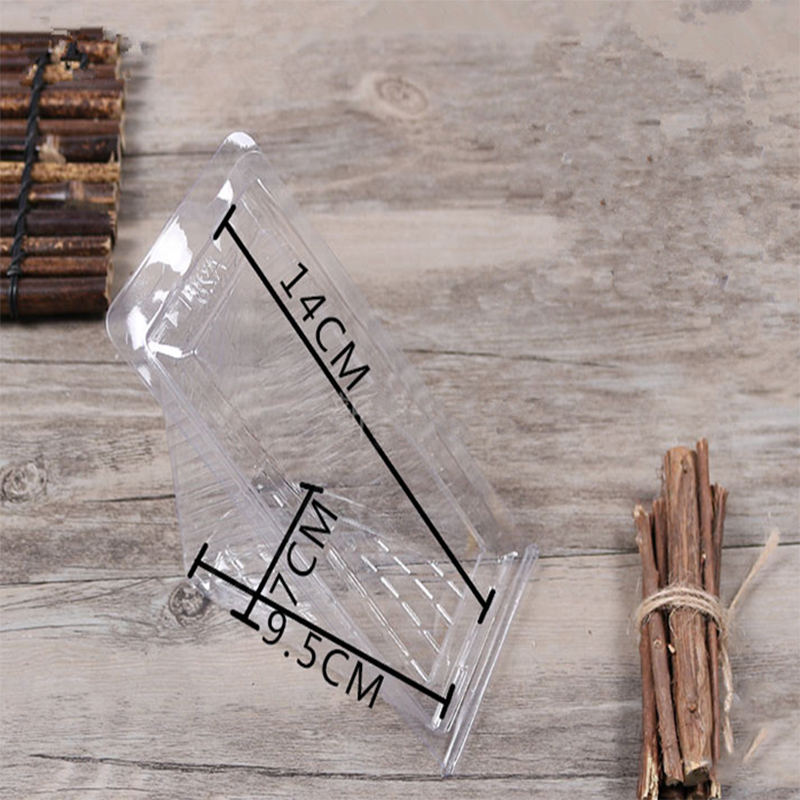 Clear Triangle Box Packaging in plastica all'ingrosso Etichetta personalizzata Bellissimo sandwich e torta \\ 's logo animale domestico, PLA