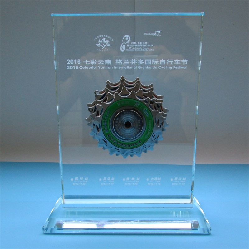 Premio per i metalli di medaglia personalizzato professionale