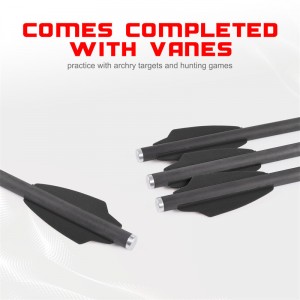 Elongarrow 119612-02 Bulloni freccia di freccia di carbonio da 16 cm con 2 pc 1,65 pollici Black Vane