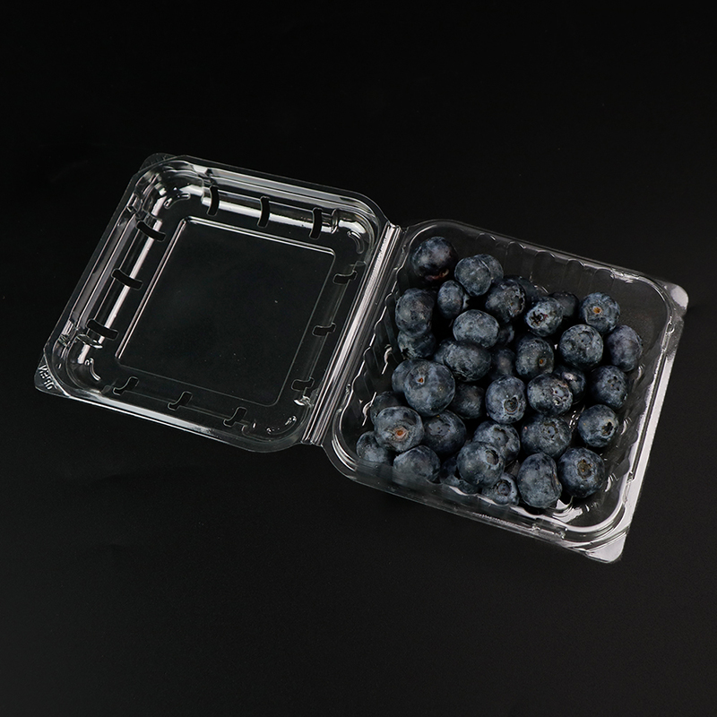 Box Blueberry Box con coperchio 103*108*42 mm HGF-125B