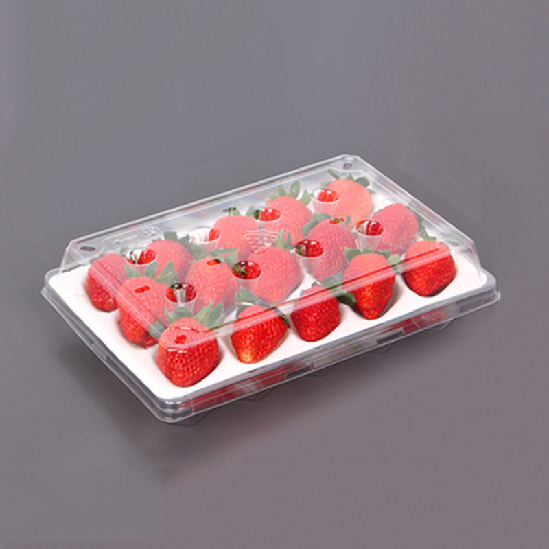 Strawberry Box (15 fragole) 225*120*40 mm cm-15