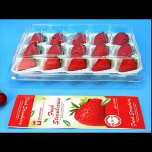 Strawberry Box (15 fragole) 225*120*40 mm cm-15