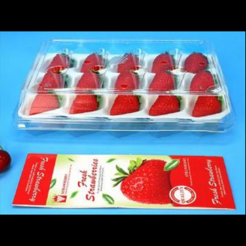 Strawberry Box (15 fragole) 225*120*40 mm cm-15