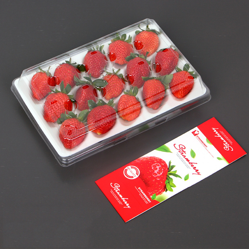 Strawberry Box (15 fragole) 225*120*40 mm cm-15