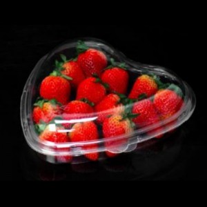 CARDIOID BOX LID trasparente 185*45 mm