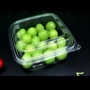 Insalata Box 155*155*60 mm HGF-1616HB