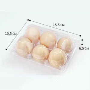 Vassoio di uova 155*105*65 mm 6 scanalature