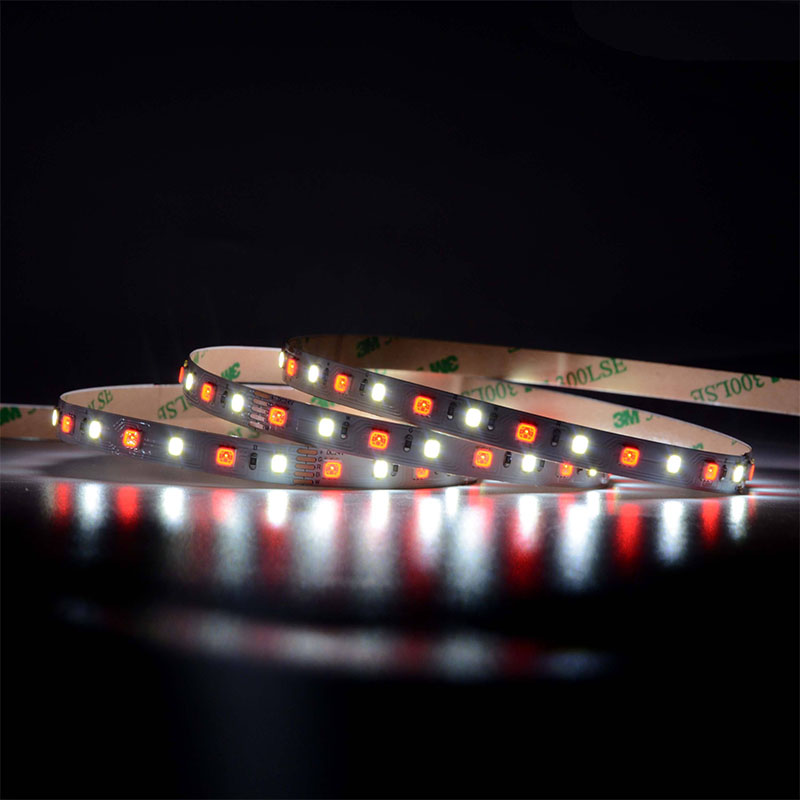 5050 60leds/m RGBW LED Strip