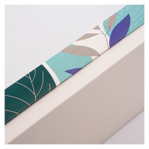 Scatola regalo squisita che apriva la finestra