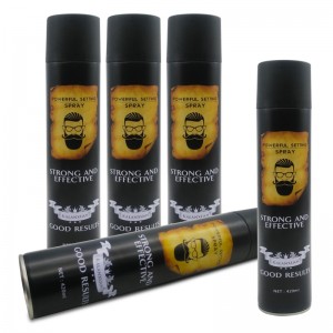 Factory Aerosol Strong Hold Styling Hair Texture Spray