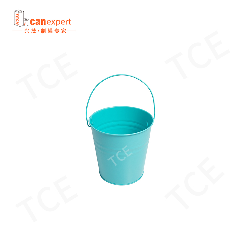 TCE TCE RAGGIO IN CUSTIME CURA TCE Can Can compresso da 0,28 mm per latta di dono di artigianato di grande capacità