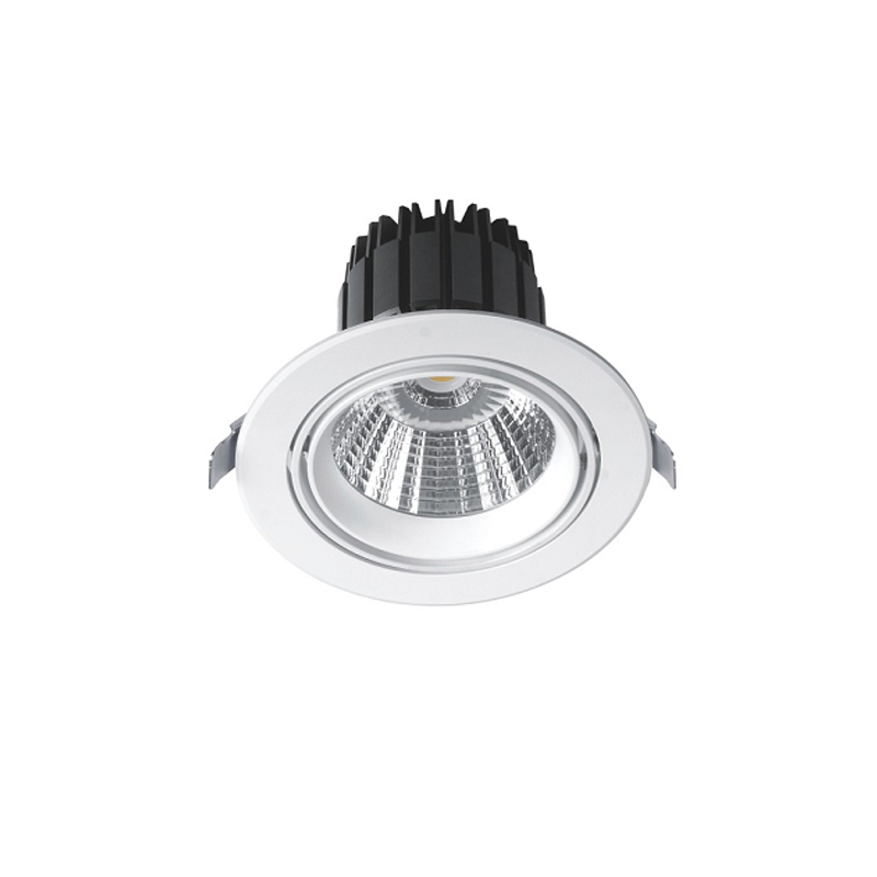 LED-DWL-CoB-B