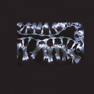 Set di luci di Natale a LED