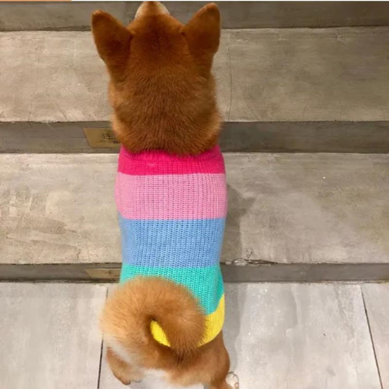 Produttore di gatti a maglia in cotone invernale personalizzato per animali domestici