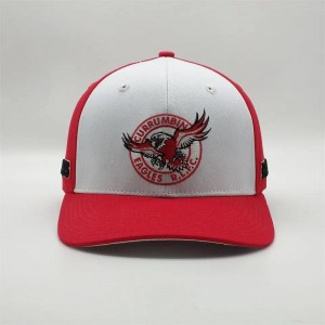 Ricamo a 6 pannelli di alta qualità personalizzato Two tono pre -curvo Cappello a basso profilo PADBall CAPBALL BASTBALL