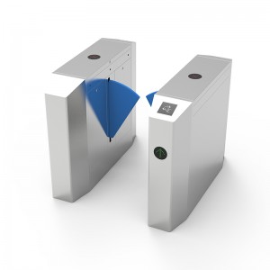 Cancello dell\'ala ottagonale (piastra blu)