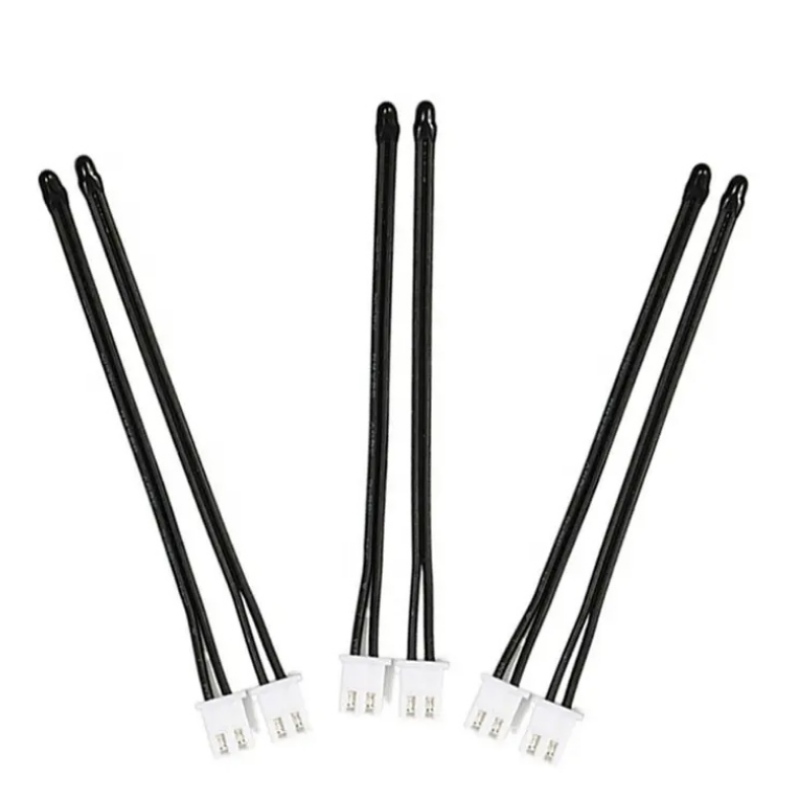 Potenziali pericoli per la sicurezza dellanuova ricarica di veicoli elettrici energetici