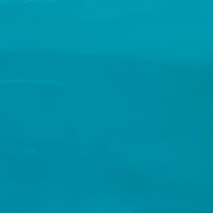 Pelle di brevetto PU