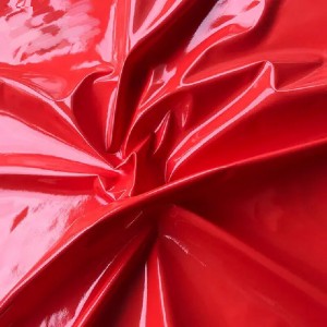 Allungare il brevetto Pu