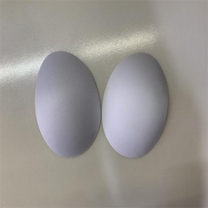 Mutandina ecologica ecologica