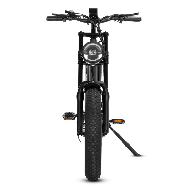Bike elettrica da 20 pollici per pneumatici grassi
