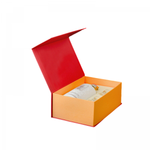 Macchina di posizionamento dell\'immagine Manipolatore multifunzione DG-600B (Multi-Servi Feida)