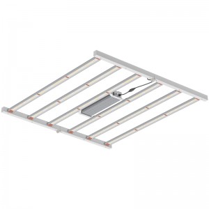 800w 4*4ft Spectrum Full Spectrum Funzione illuminazione orticolo per serra interna o luce di coltivazione a LED commerciale LED