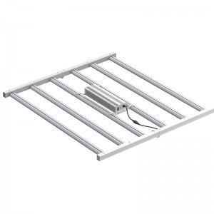 800w 4*4ft Spectrum Full Spectrum Funzione illuminazione orticolo per serra interna o luce di coltivazione a LED commerciale LED