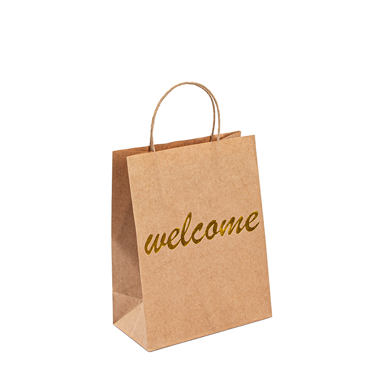 Kraft Retail Bolsas Sagno di carta di lusso con il tuo sacchetto di carta Kraft con maniglia