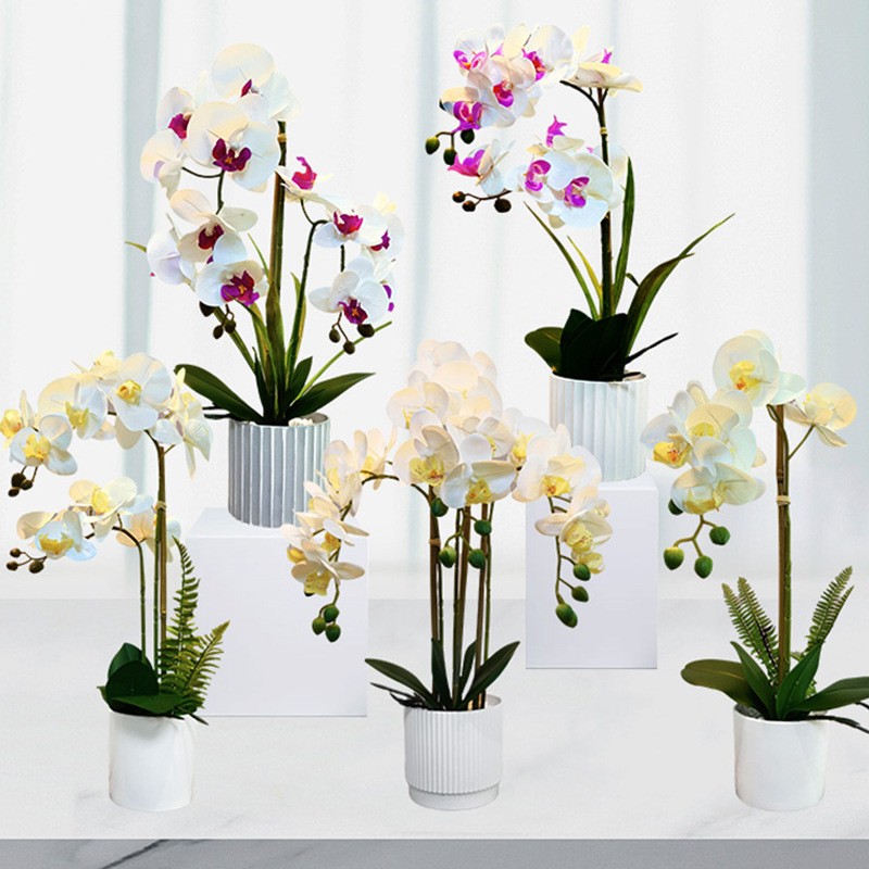 Vero touch all'ingrosso White White Artificial Butterfly Orchid Flower in White Pot