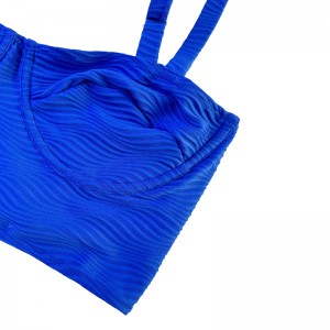 Halter del modello blu con ampio fondo speciale in tessuto speciale sexy su due pezzi costume