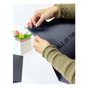 Manico di lusso manico per fustetti di abbigliamentonero confezionamento sacchetti di carta sacchetti estetici convuggono sacchetti regalo design di carta da design