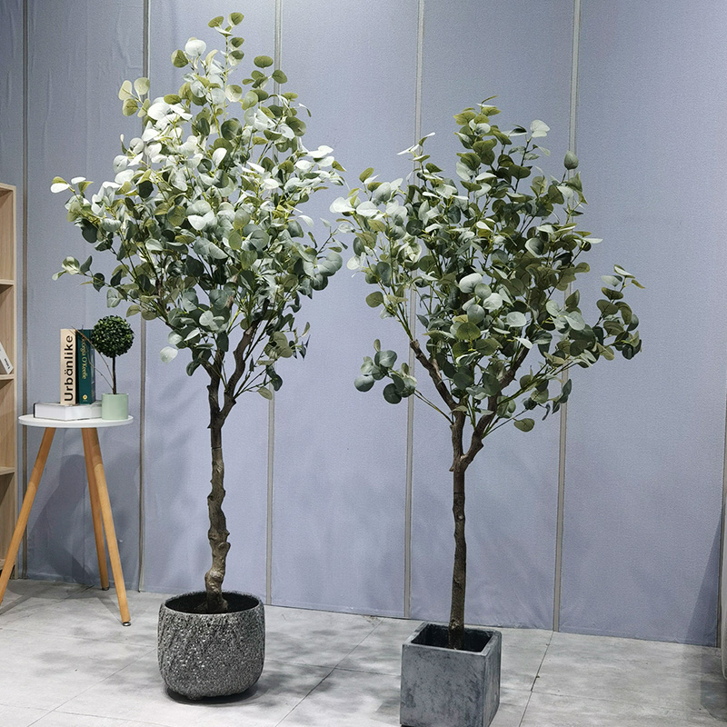 Prezzo di fabbrica Green Plant Green Bonsai ecologico eucalipto albero per arredamento per i fornitori da giardino decorazioni per il giardinaggio