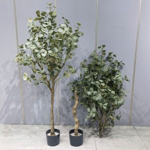 Prezzo di fabbrica Green Plant Green Bonsai ecologico eucalipto albero per arredamento per i fornitori da giardino decorazioni per il giardinaggio