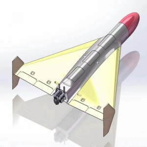 JH-136 a lungo raggio VTOL DRONE FIZIO