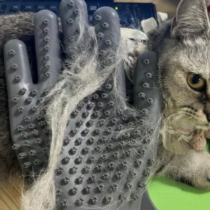 guanti per il massaggio