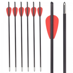 119722 Dardi per balestra da 12,8 pollici con diametro esterno di 5,5 mm