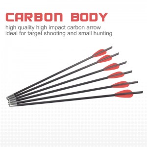 119722 Dardi per balestra da 12,8 pollici con diametro esterno di 5,5 mm