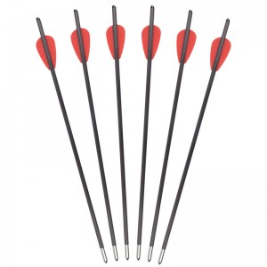 119722 Dardi per balestra da 12,8 pollici con diametro esterno di 5,5 mm