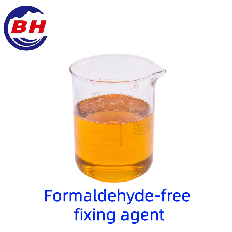 Formaldeide-fissativo libero H8702