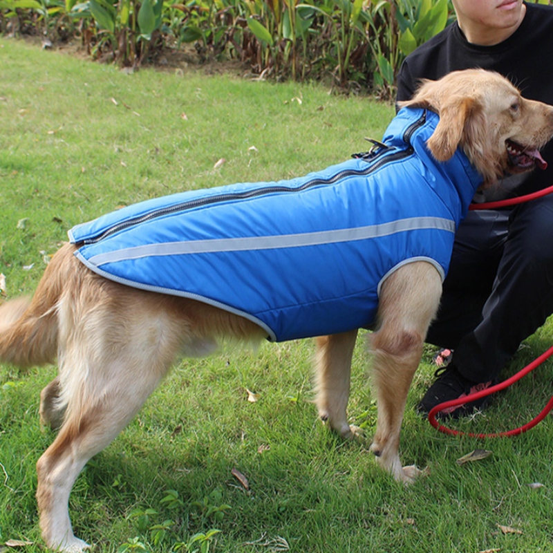 1647577500.jpg Pet cloth.jpg