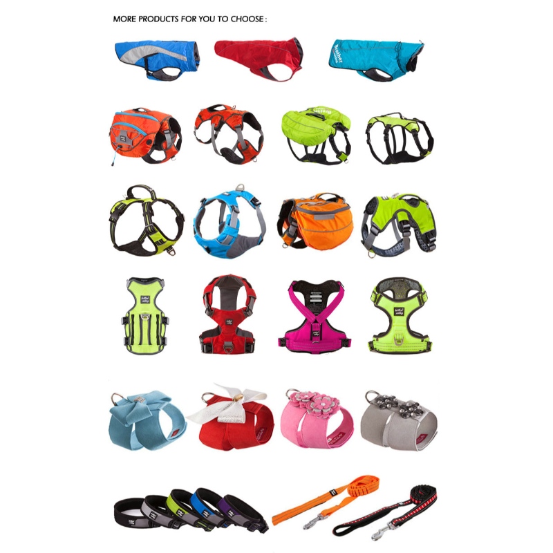 1647617616.jpg dog walking product pet accessories.jpg