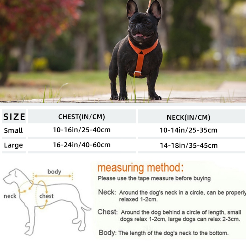 1647781079.jpg pet shop.jpg