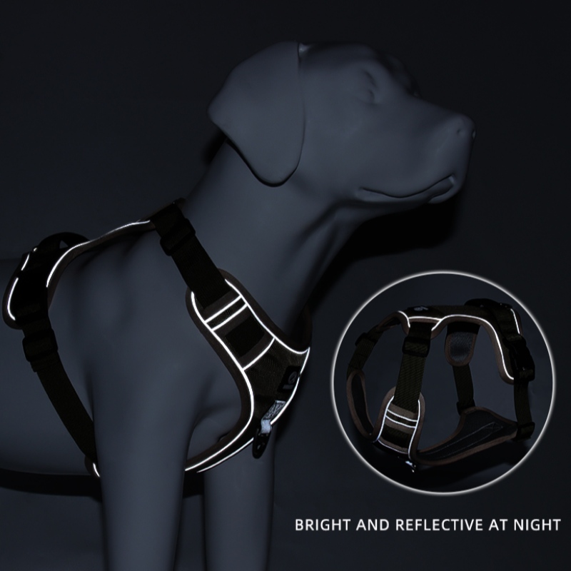 1647788427.jpg pet training products.jpg