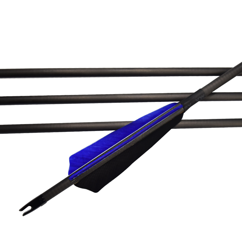 1629181884.jpg 8.jpg