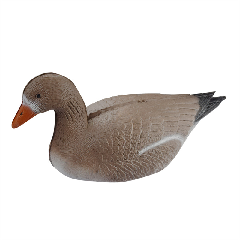 1631585730.jpg 41T3D1 鸭子 (2).jpg