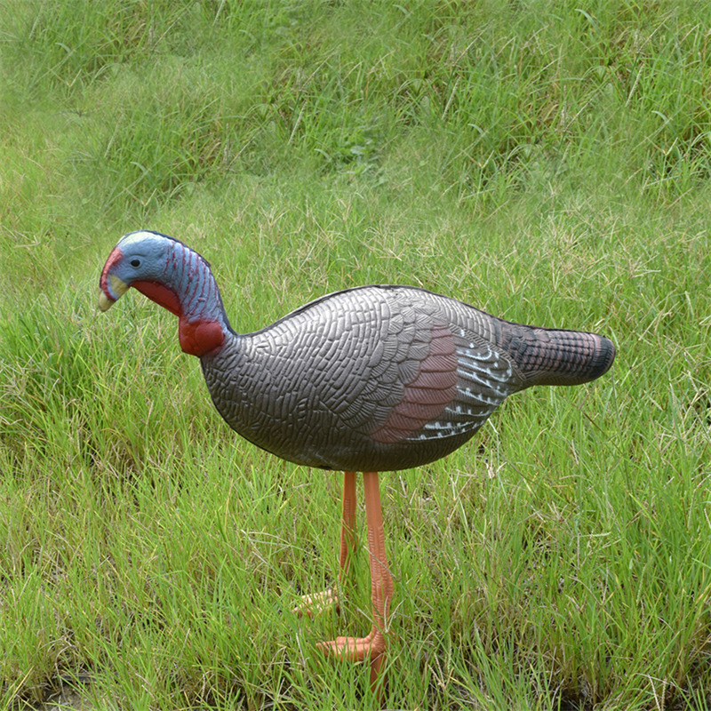 1631673769.jpg 41T3D2 公鸡 (8).jpg